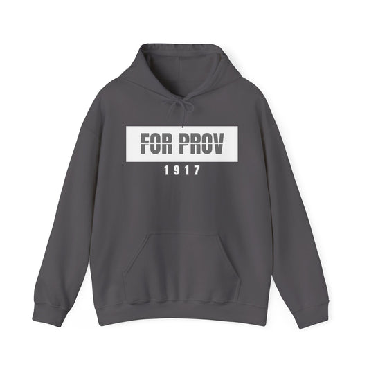 Darker For Prov 1917 Heavy Blend Hoodie