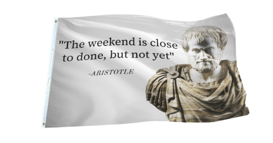 Aristotle Quote Flag