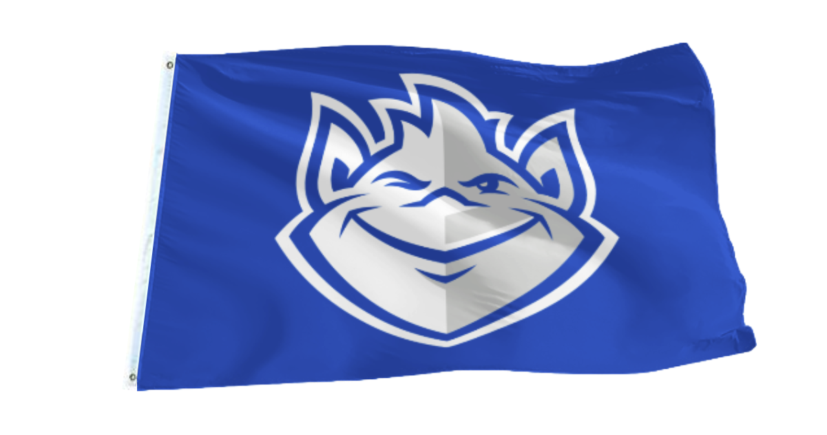 Saint Louis Billikens Flag