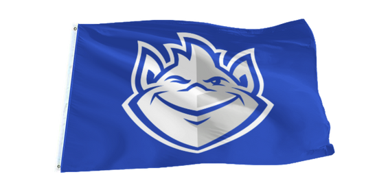 Saint Louis Billikens Flag